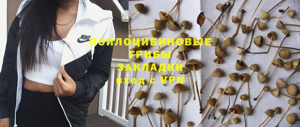 скорость Костерёво