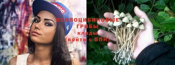 соль ск Алзамай
