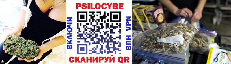 наркошоп  Снежногорск  Галлюциногенные грибы Cubensis 